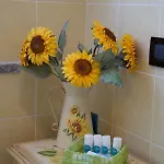 Apartment Con Giardino E Parcheggio Privato *
