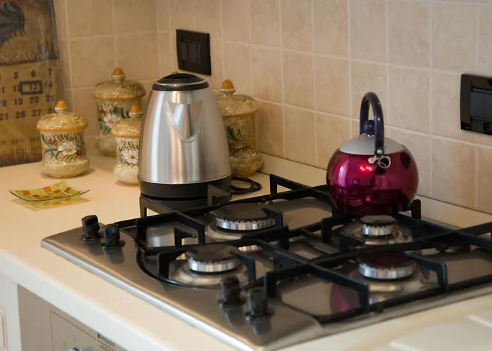 Con Giardino E Parcheggio Privato Apartment *