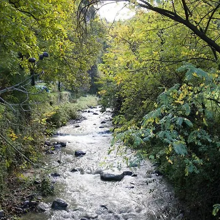 Con Giardino E Parcheggio Privato דירה *