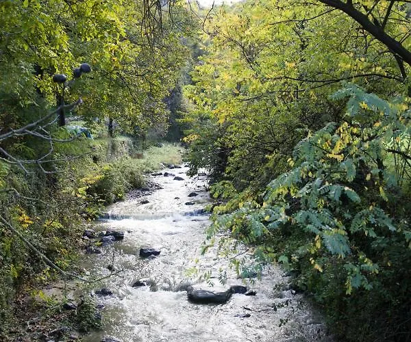 Con Giardino E Parcheggio Privato Апартаменты *